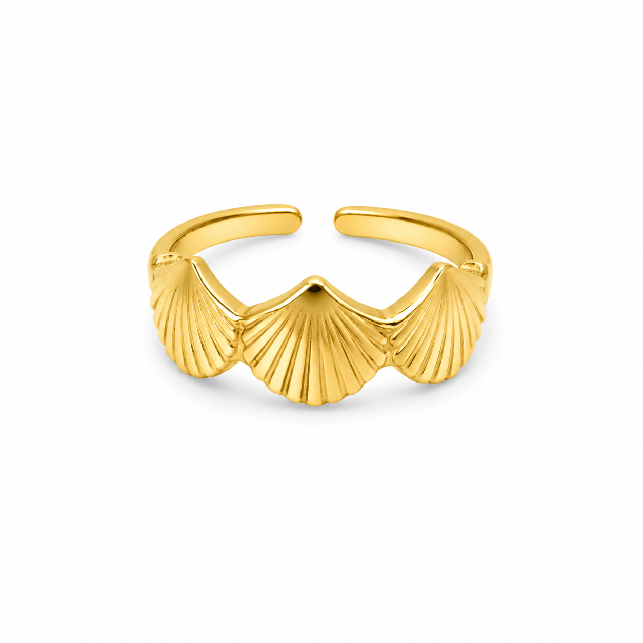 Shell Ring